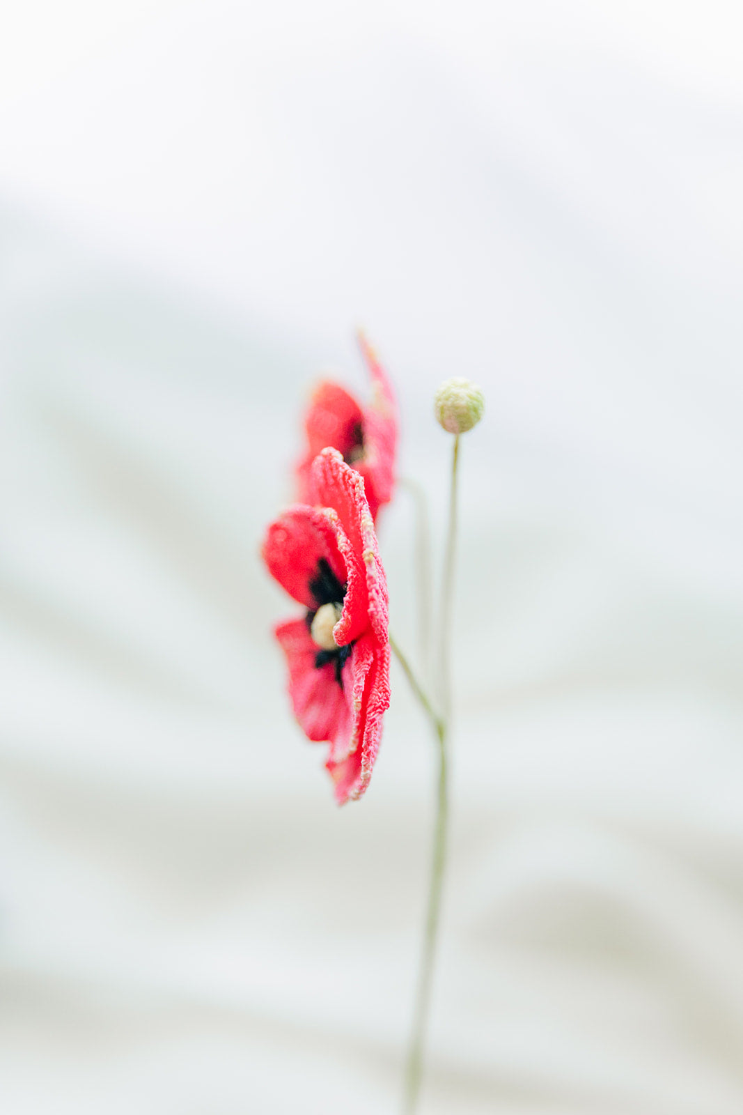 Microcrochet Poppy Bookmark