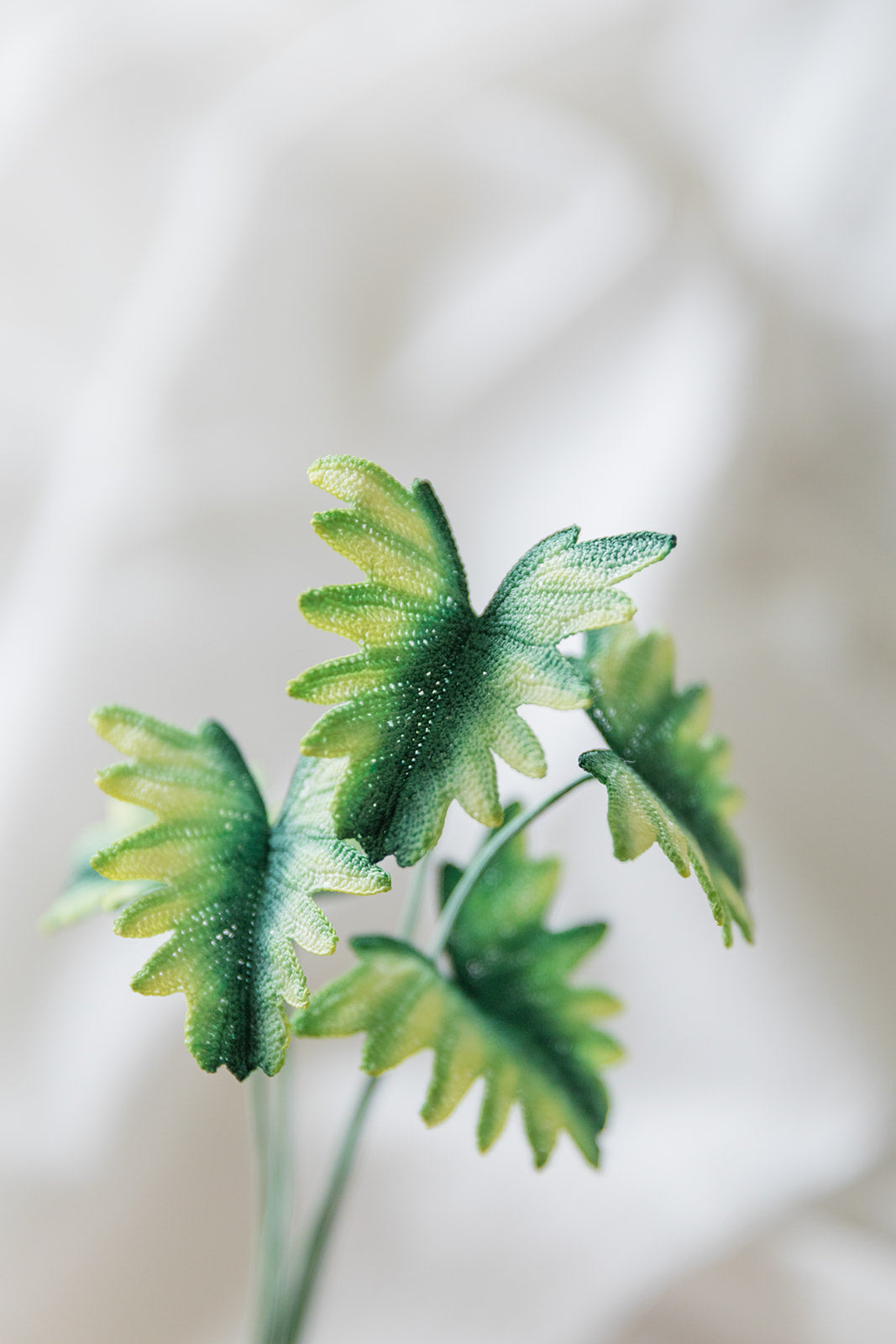 Microcrochet Philodendron Bookmark